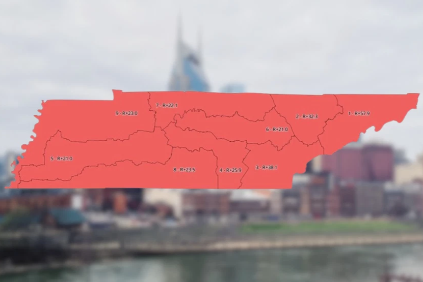 Tennessee eliminated the last Democratic stronghold after the Court ruling that bans districts based on race