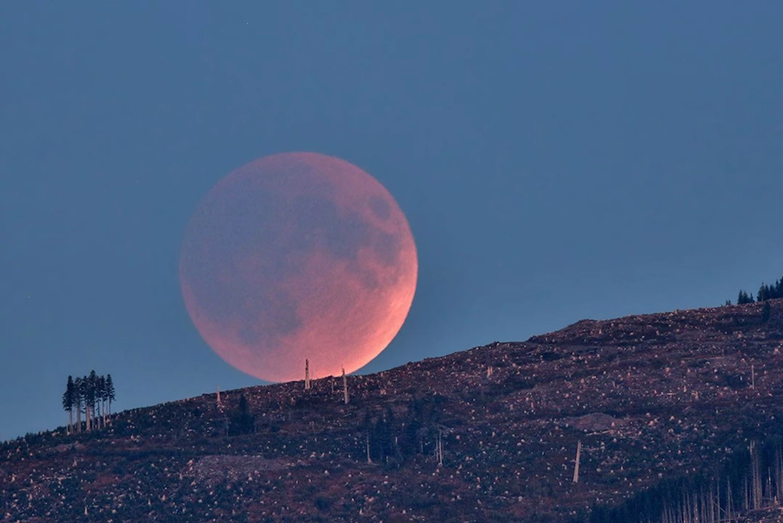 El eclipse lunar que no volverá a verse hasta 2028: cuándo y dónde observarlo