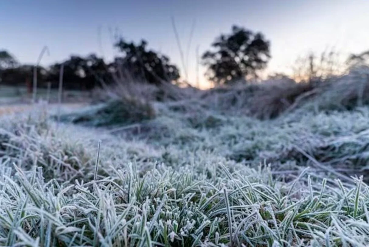 Ola polar: fuerte baja de la temperatura en el día más frío del año en Córdoba