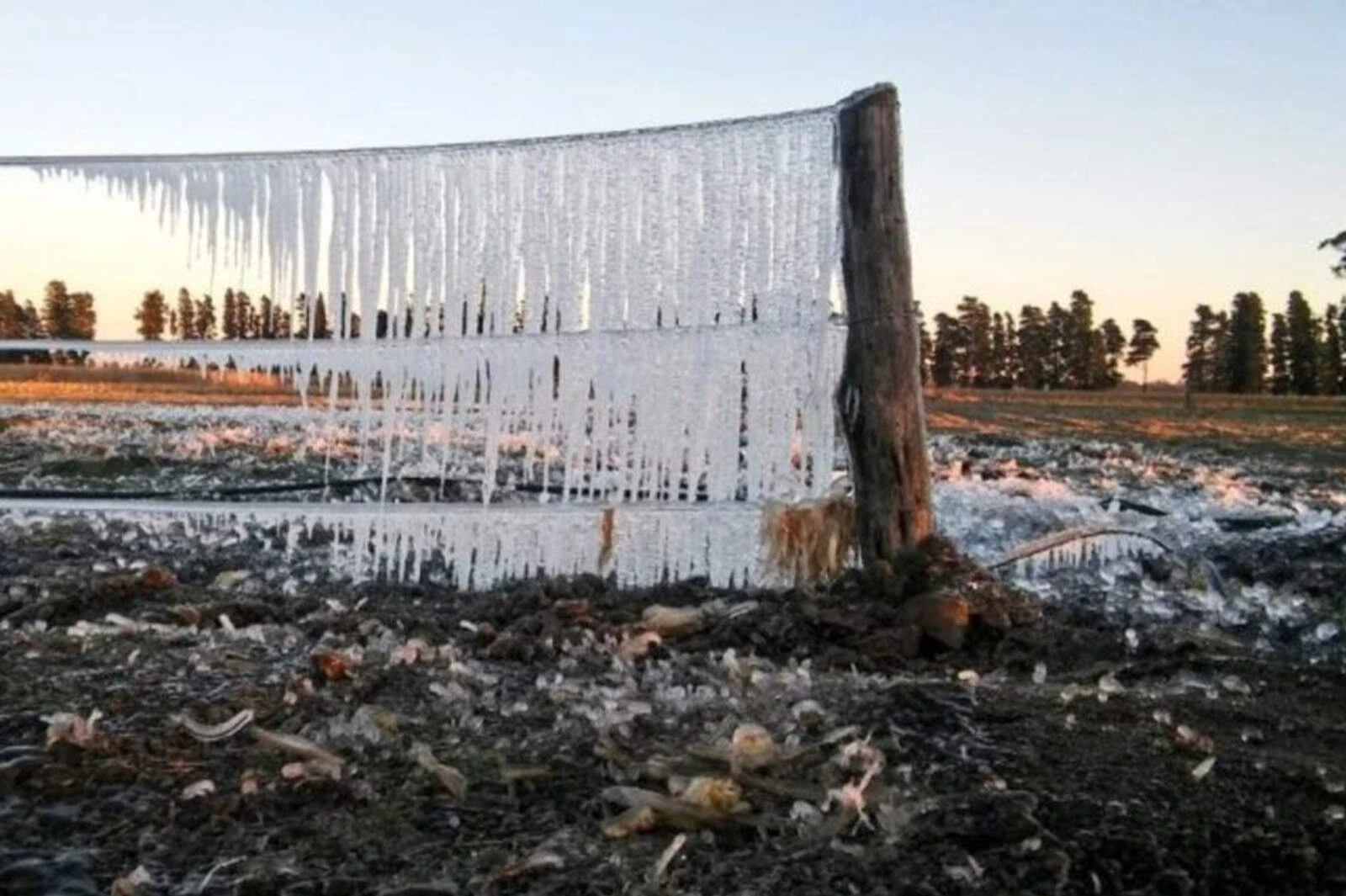 Clima en Córdoba: la temperatura descendió hasta -4 ºC y llegó la primera helada