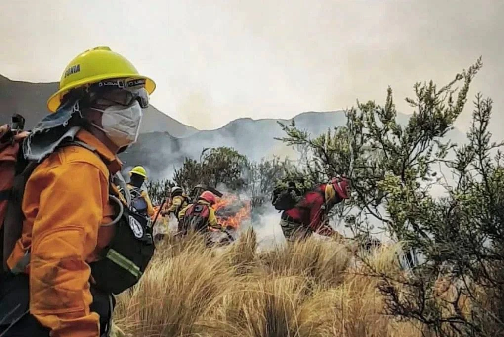 Alertan por riesgo extremo de incendios rurales en Córdoba