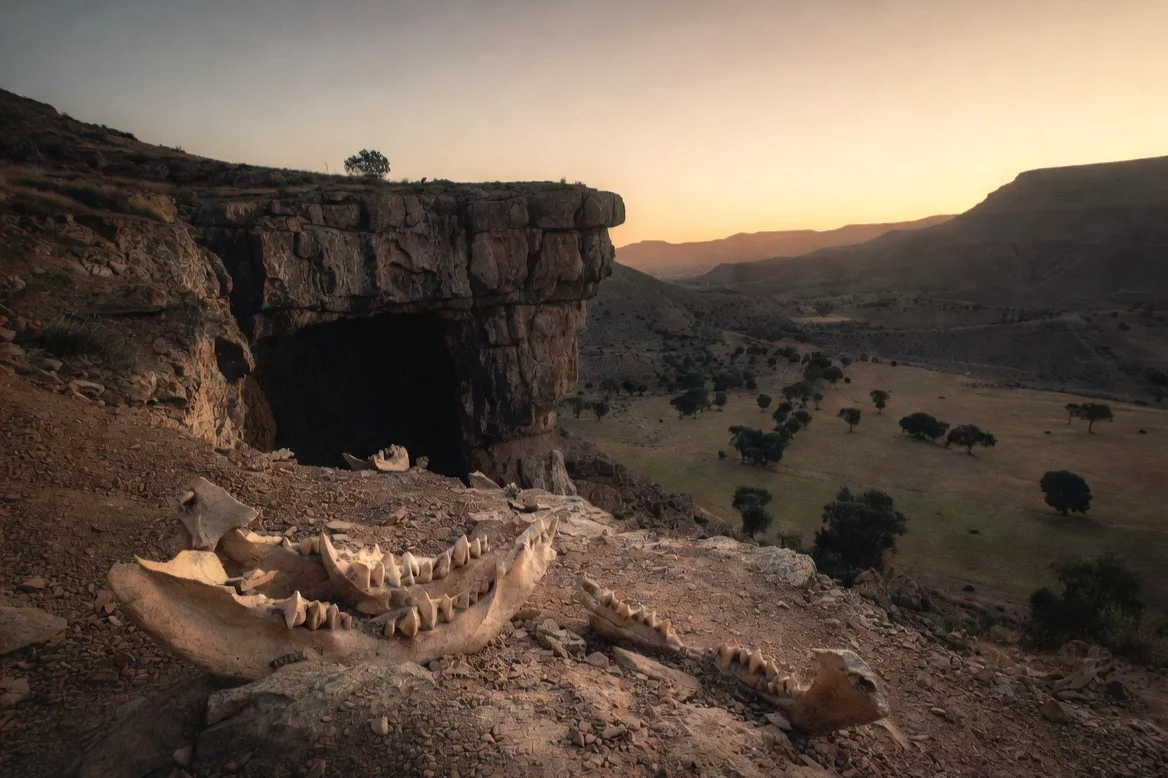 Fósiles en Marruecos revelan claves inéditas sobre el origen del Homo sapiens