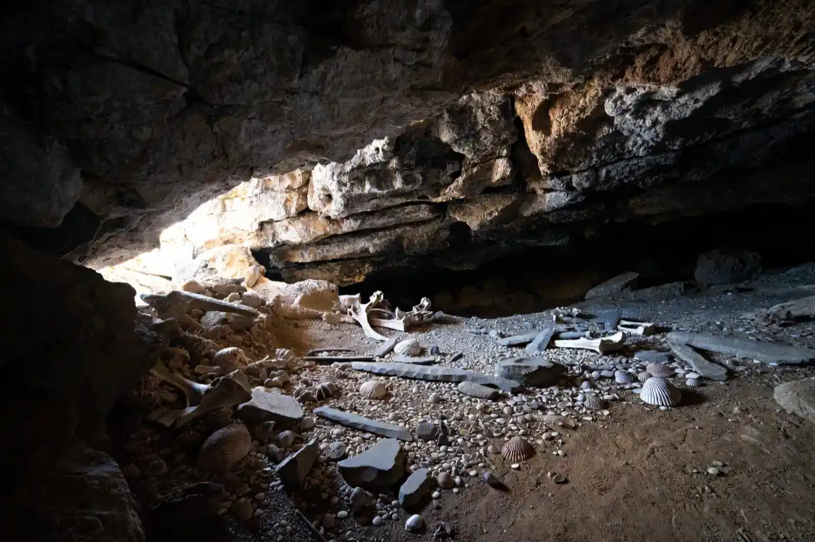 Humanos modernos y neandertales compartieron cultura durante miles de años