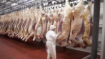 Argentine meat