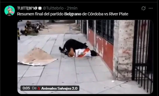 Imagen 1406573