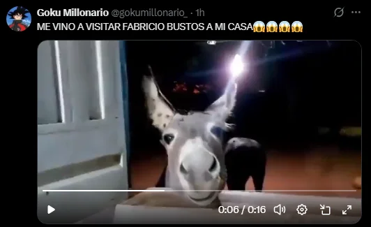 Imagen 1406568