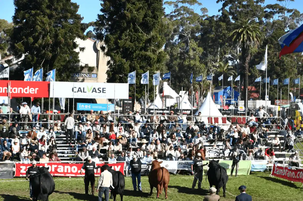Uruguayan competitiveness will remain stagnant