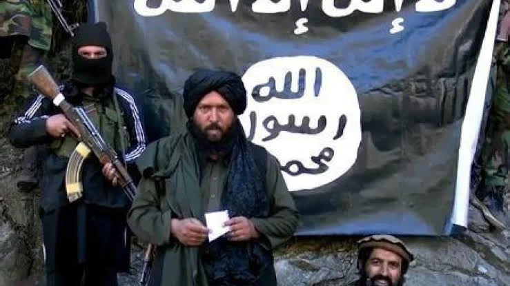Terroristas islámicos