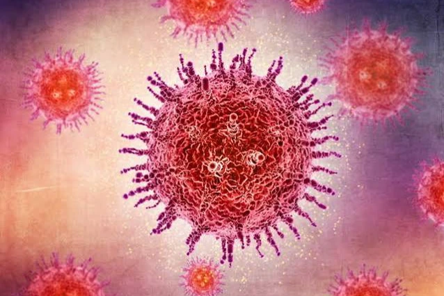 Alerta por el virus Shamonda en Francia: qué se sabe de la enfermedad que causó una muerte