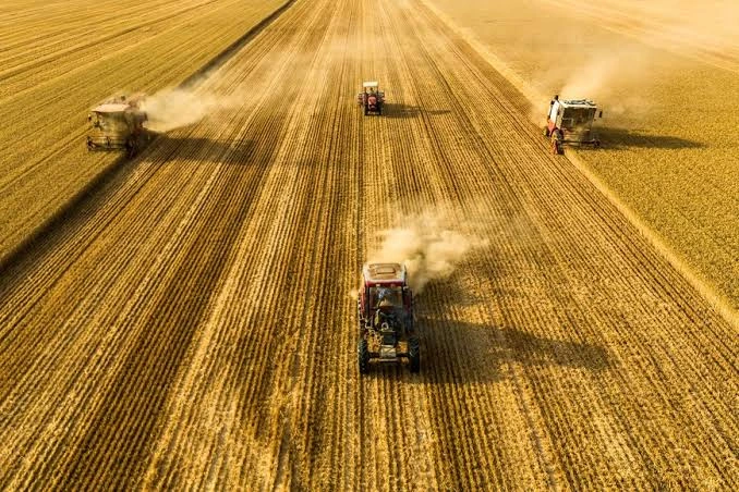 El agro argentino.