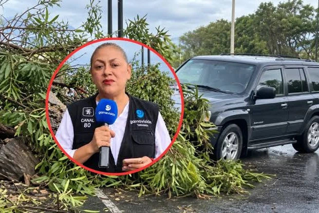 Así fue el momento en el que la reportera de Gamavisión y su camarógrafo fueron atropellados