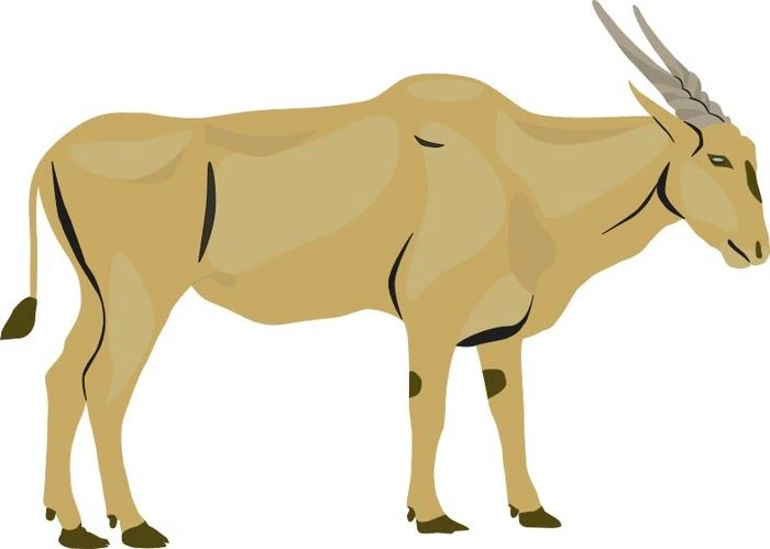 El equipo analizó muestras de sedimentos archivadas del Complejo Kilpdrif mediante paleoproteómica, un campo en auge de la arqueología y la paleontología que estudia las proteínas antiguas conservadas en materiales recolectados en yacimientos arqueológicos