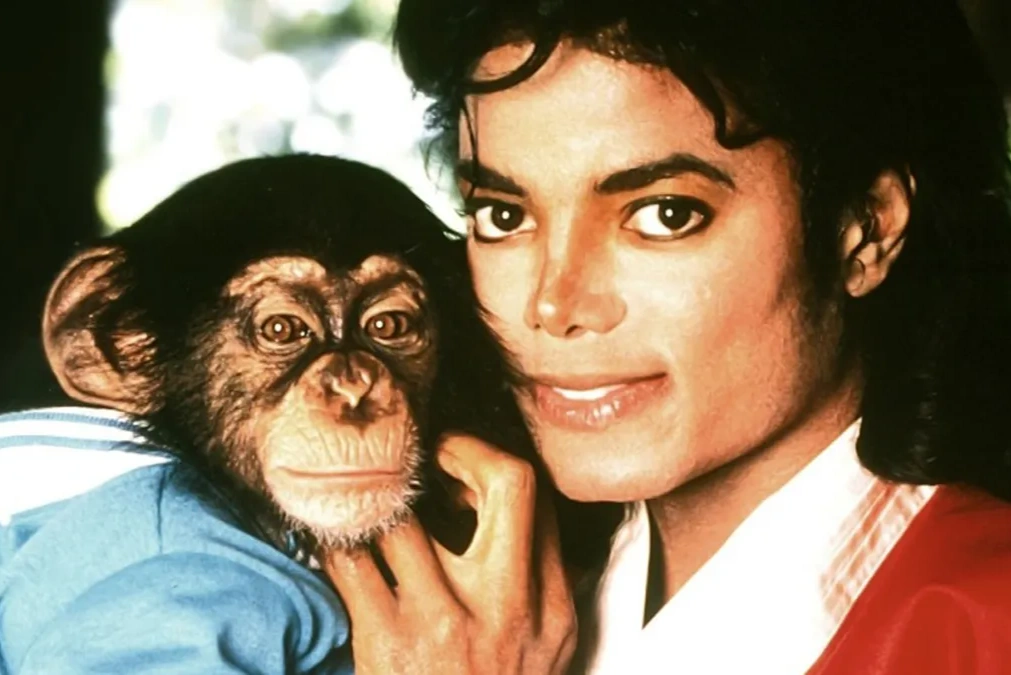 ¿Qué fue de los animales exóticos de Michael Jackson? El destino desconocido tras su muerte