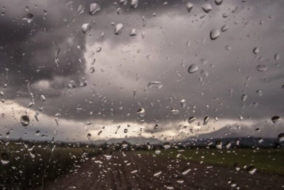 Impacto positivo de las lluvias de abril para la campaña de trigo en Córdoba