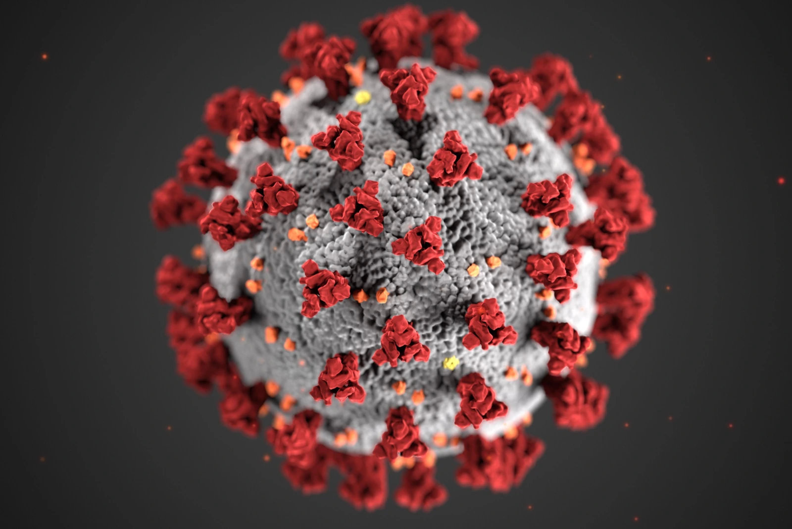 Alerta por una nueva variante del coronavirus: detectaron los primeros casos de BA.3.2 en la Argentina