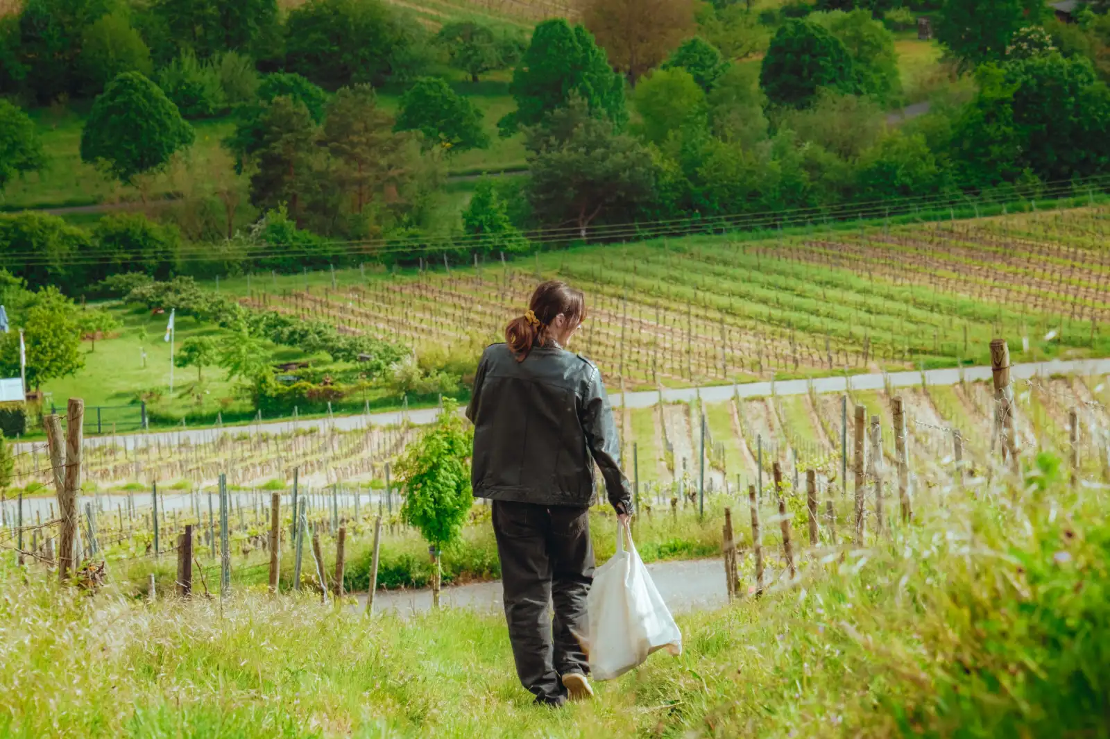 Vivir gratis en Alemania: buscan voluntarios y ofrecen alojamiento y comida a cambio de trabajar en el campo