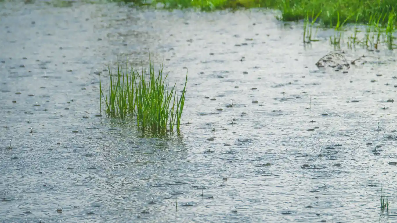 Se esperan grandes inundaciones en todo el país