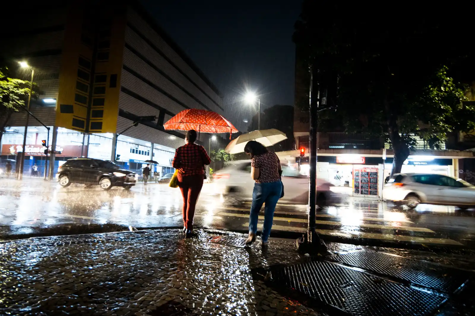 Tormenta de Santa Rosa 2026: qué día podría llegar a la Argentina y cuáles serían las áreas más afectadas