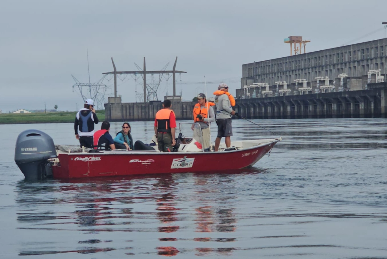 Yacyretá se suma a un proyecto científico para estudiar y conservar el dorado en el río Paraná