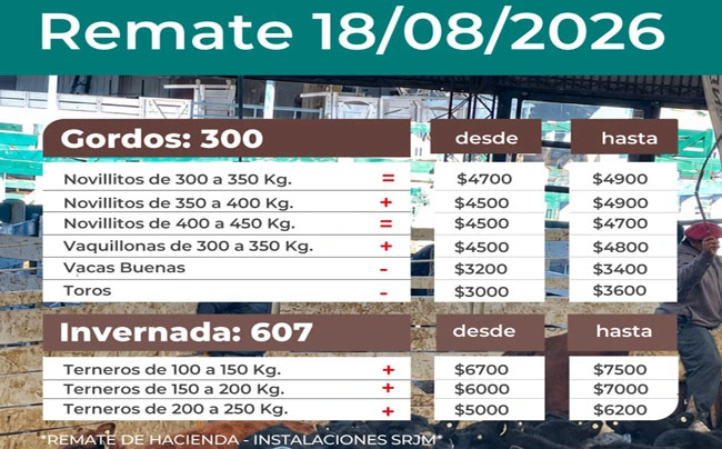 Imagen 1446697