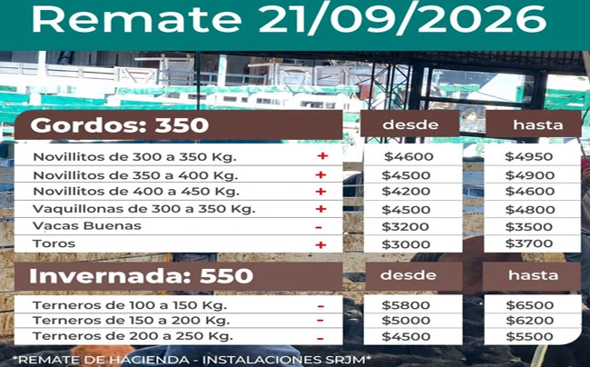 Imagen 1458516