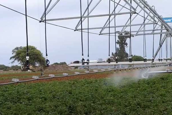 Beneficio en Córdoba: rebajan el IVA en energía a productores que utilicen sistemas de riego agrícola