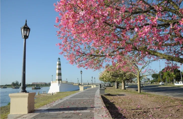 La costanera.
