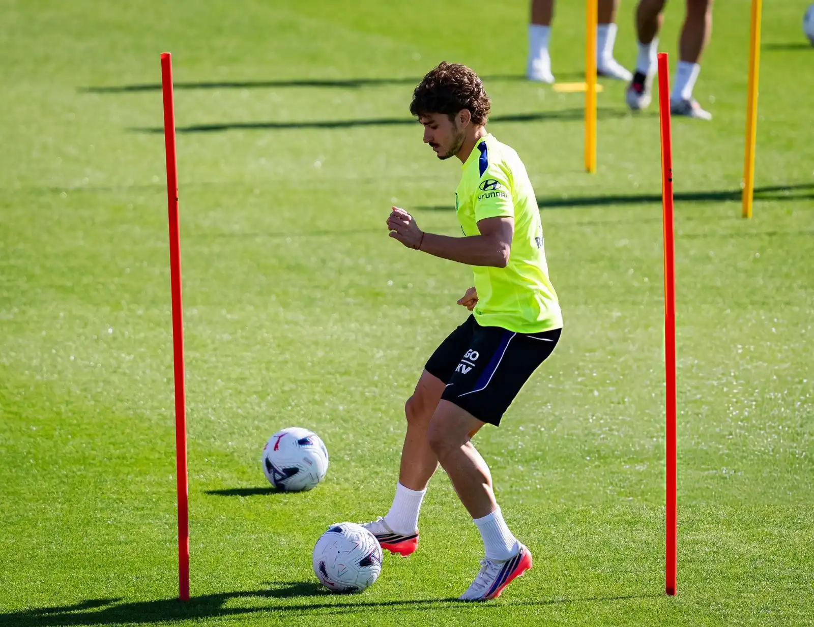 Julián Álvarez returned to training