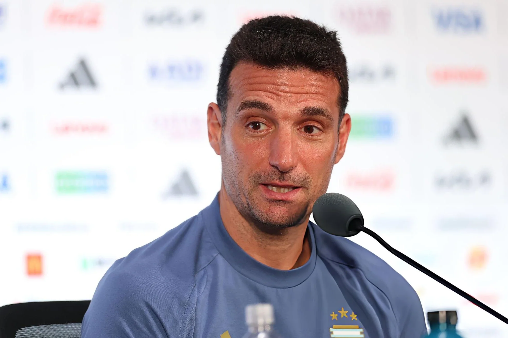 Lionel Scaloni after the qualification against Austria: "When it’s time to suffer, the team does it"