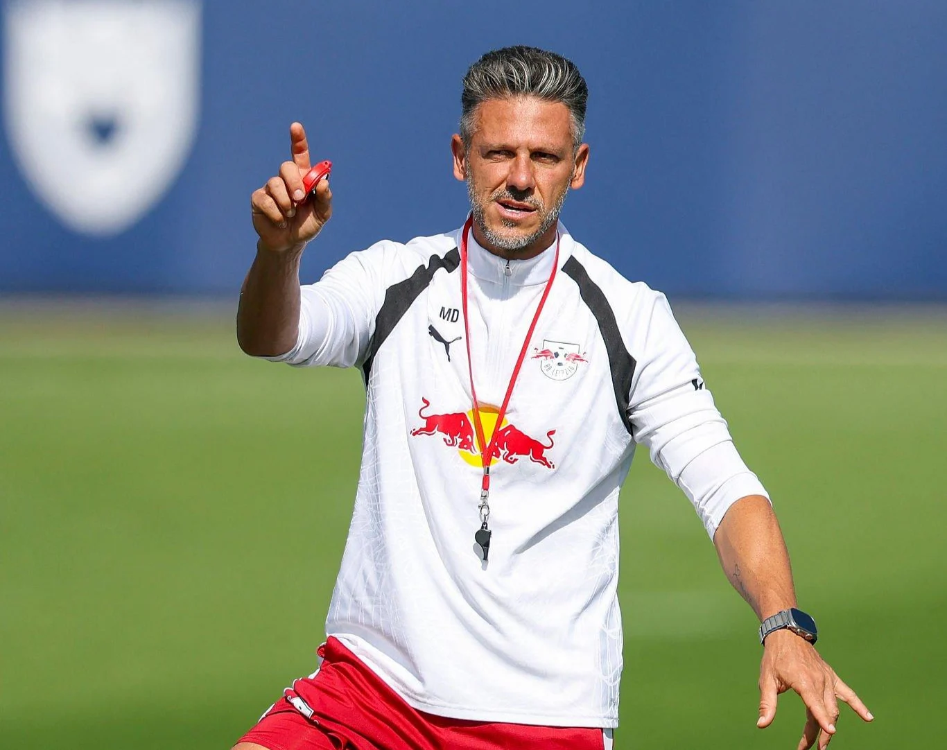 Demichelis