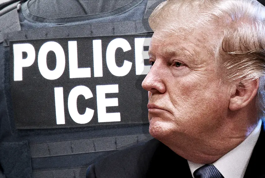 President Donald Trump
