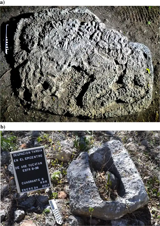 Ejemplos de reutilización de bloques de piedra caliza extraídos de ruinas: (a) monumento tallado reubicado en un sendero entre ruinas; (b) bloque de un edificio monumental reutilizado como metate. Fotografías cortesía de Roberto Rosado-Ramírez.